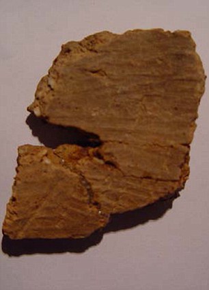 Ancient Chinese pottery confirmed as the oldest yet found 3 article 0 13D65F26000005DC