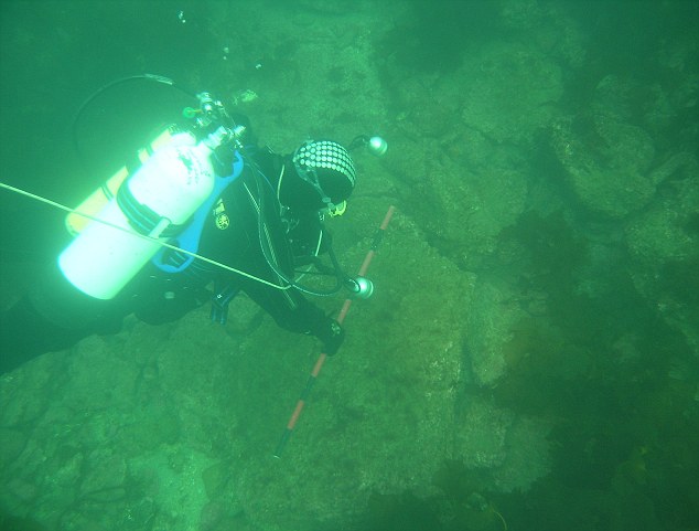 Britain's Atlantis found at bottom of North Sea 8 article 2167731 13E47DE9000005DC
