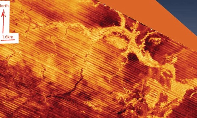 Britain's Atlantis found at bottom of North Sea 6 article 2167731 13E737C0000005DC