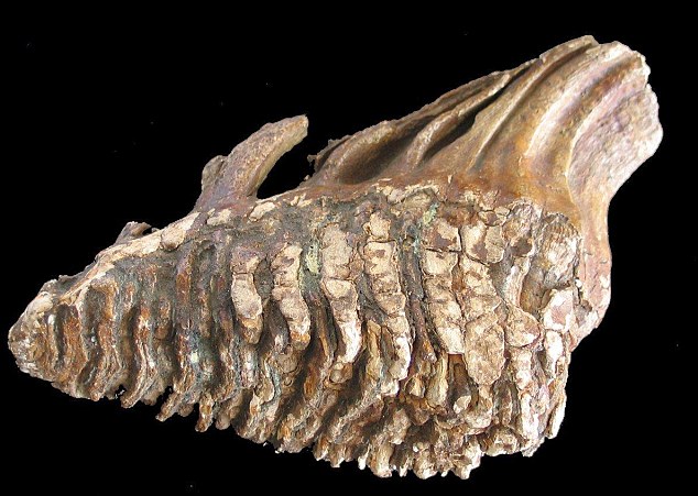 Britain's Atlantis found at bottom of North Sea 11 article 2167731 13E74AEE000005DC