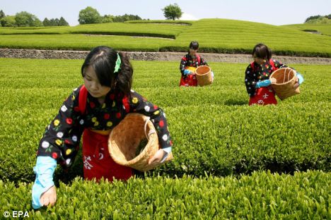 Japanese women lose world longevity title to Hong Kong 1 article 0 00929C71000004B0