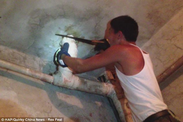 Chinese baby boy Rescuted after mother flushes him down the Toilet 10 article 2331941 1A08DE08000005DC