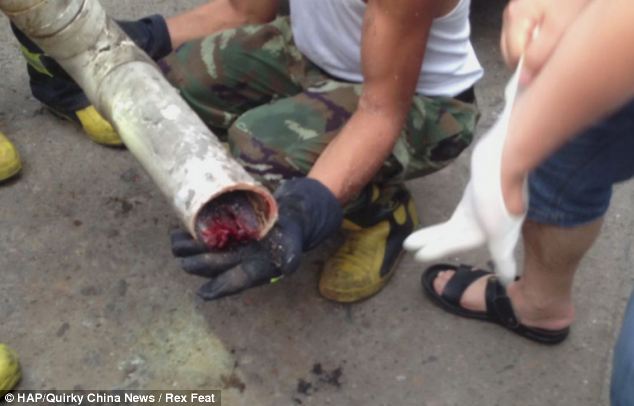 Chinese baby boy Rescuted after mother flushes him down the Toilet 9 article 2331941 1A08DE24000005DC