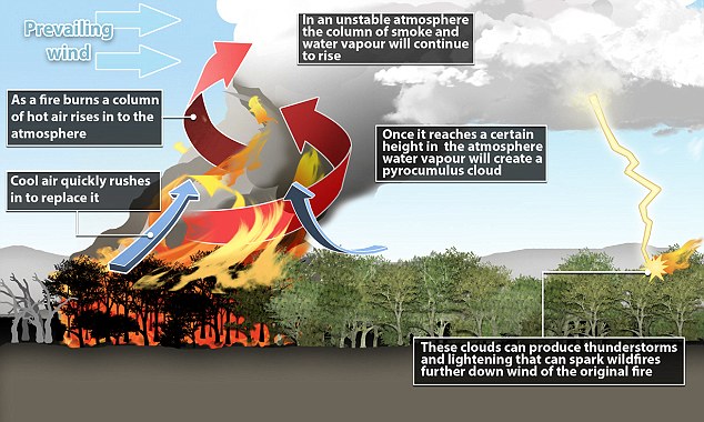 Could Sydney be hit by devastating ‘fire cloud’? 2 article 2471378 18E778F900000578