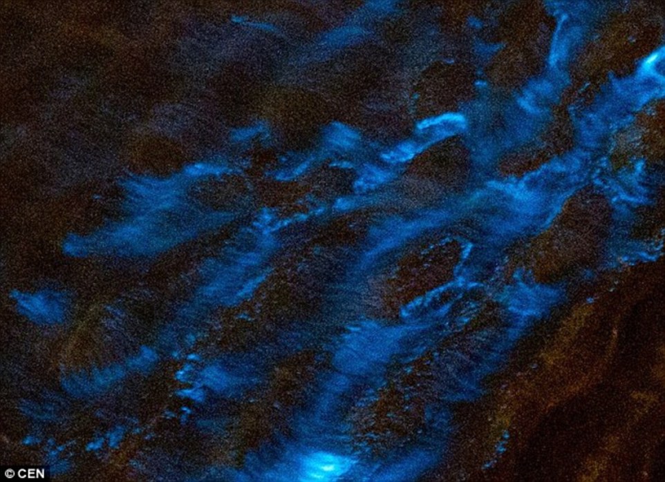Chinese Majestic Sparkling Blue Waters Are in Fact a Pollution Issue 6 28B0D07C00000578 3082525 Sea Sparkle lights up the shore of Qingdao in eastern China last a 5 1431655064751