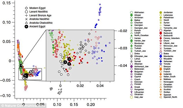 New DNA study finds Ancient Egyptians were European whites, not black Africans 4 40F078F000000578 4555292 image a 20 1496158694690