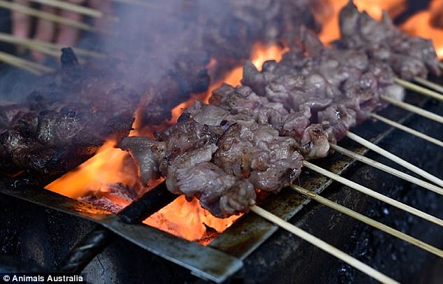 Undercover investigations reveal Australian tourists fed Dog meat as Chicken in Bali 6 418DBBD700000578 0 image m 43 1497887273309