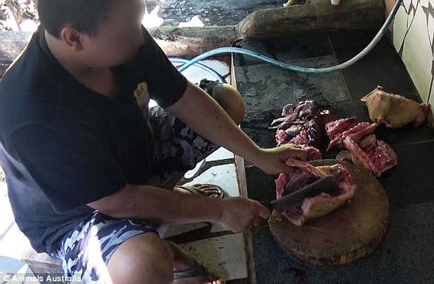 Undercover investigations reveal Australian tourists fed Dog meat as Chicken in Bali 7 418DBBEA00000578 0 image m 44 1497887426782