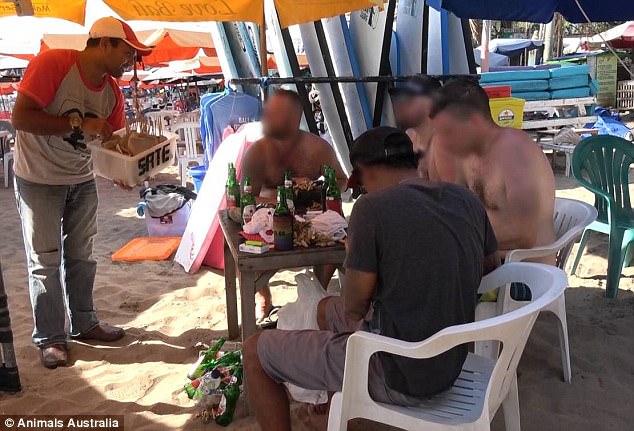 Undercover investigations reveal Australian tourists fed Dog meat as Chicken in Bali 3 418DBC0400000578 0 image a 35 1497886454267