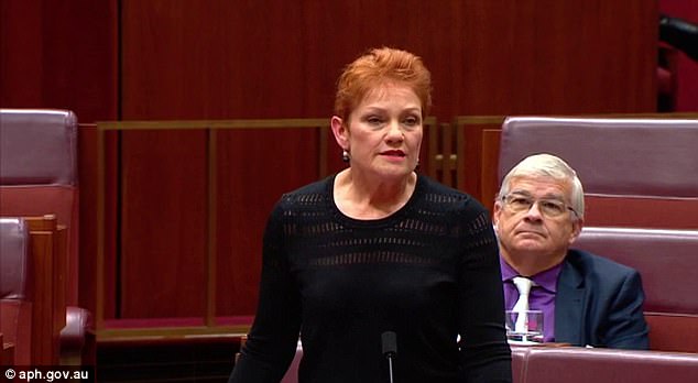 Australian senator shocks Parliament by wearing a Burqa into the Senate 2 4350A67800000578 4798100 image a 33 1502947854297