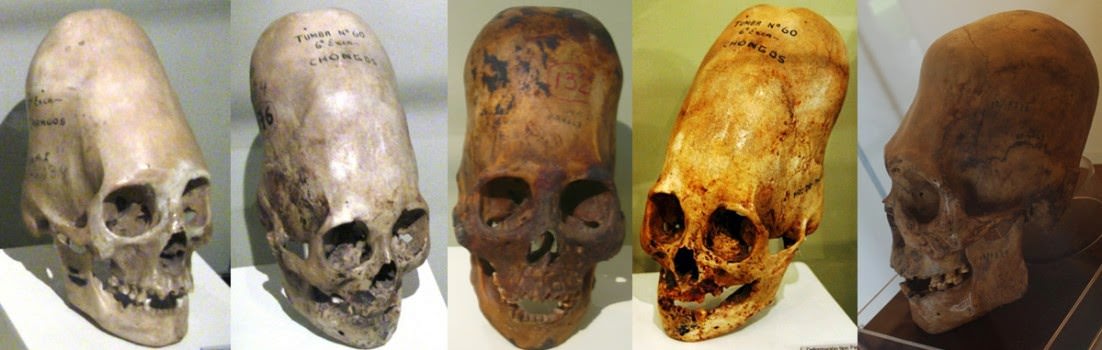 DNA tests finished on Peruvian elongated skulls: They were Europeans 2 lnmCjLf