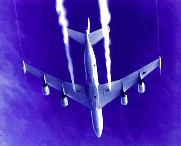 Top US Official Murdered After Arkansas Weapons Test Causes Mass Death 2 lre3