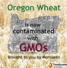 Russian Report Warns Of Grave Monsanto Threat To World 2 mzk2