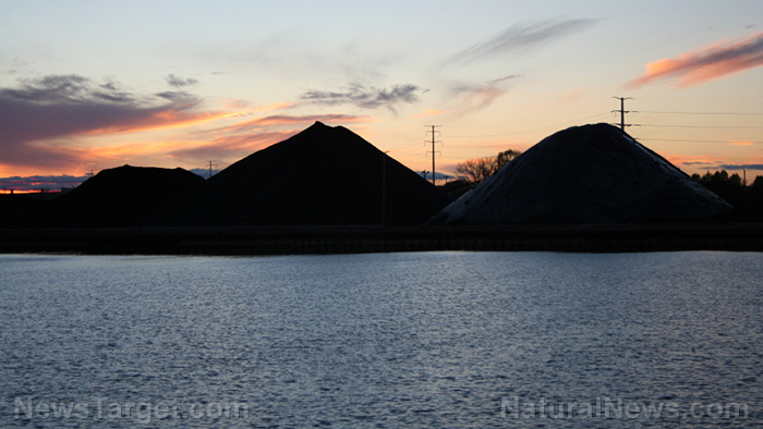 Netherlands abandons 'Green' agenda, restarting Coal Plants to fulfill Energy needs 1