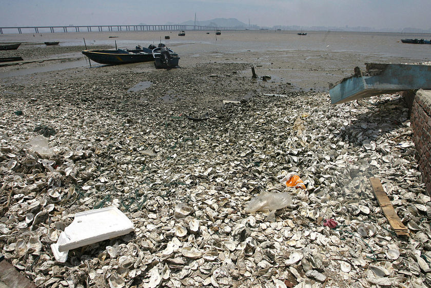 The Pollution in China Exposed! - Photo Gallery 46 r156404 565716