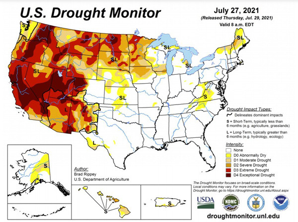 Mass starvation: Biblical droughts to cause unprecedented US food shortages and price hikes 2 sOhQb1d
