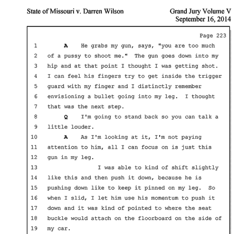 Why the Grand Jury Didn't Indict Darren Wilson 4 wilsongjtest