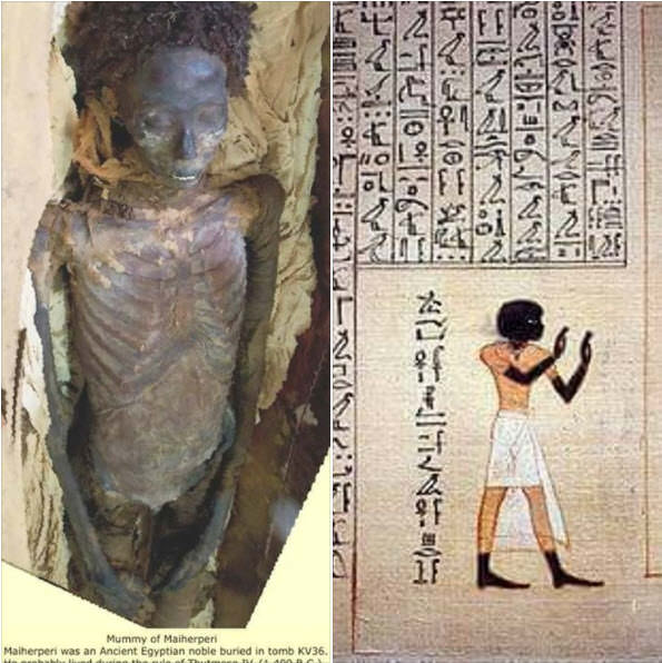 Black SJWs meltdown on Twitter after white Nefertiti reconstruction revealed 49 tZVvAim