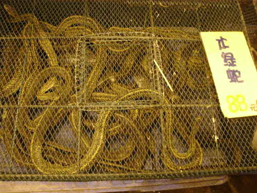 Traditional Chinese Dish, Specialties, Cousine 13 small snakes chinese market
