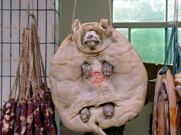 Traditional Chinese Dish, Specialties, Cousine 18 dog2