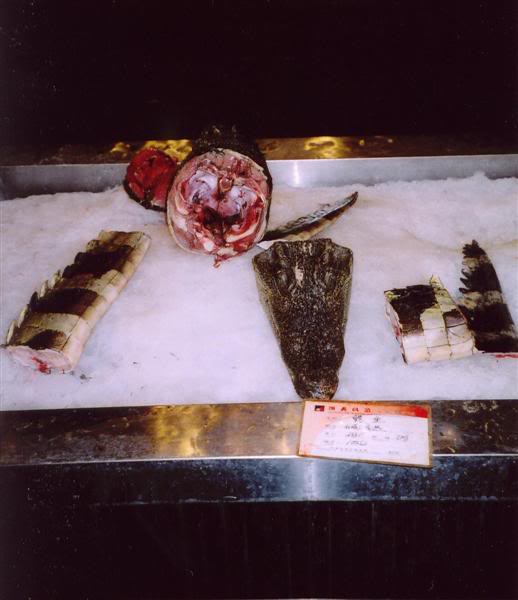 Traditional Chinese Dish, Specialties, Cousine 21 Tianjin Crocodile