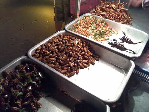 Traditional Chinese Dish, Specialties, Cousine 27