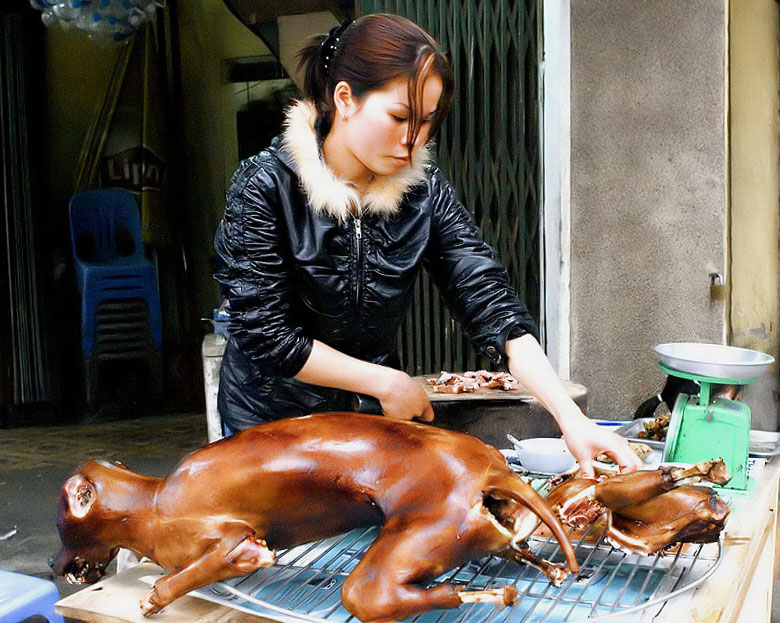 Traditional Chinese Dish, Specialties, Cousine 17 dog meat