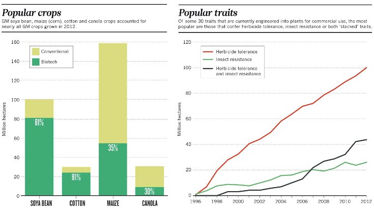 New Study Finds GMO Soy Toxic to Kidneys, Liver and Reproduction 2 gm crops soy online 735