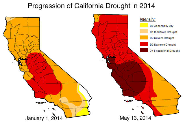 Shrimp and Beef prices skyrocket in the US 2 California Drought 2014