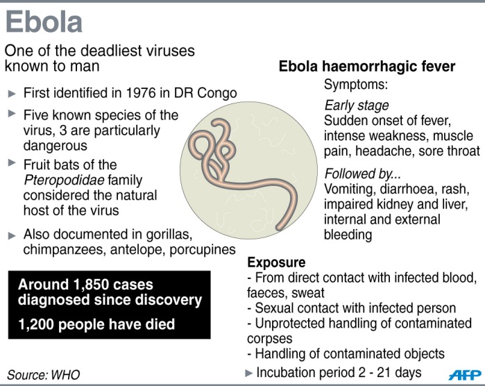 Ebola Apocalypse “Mysteries” Raises Biowarfare Fears 3 zze1